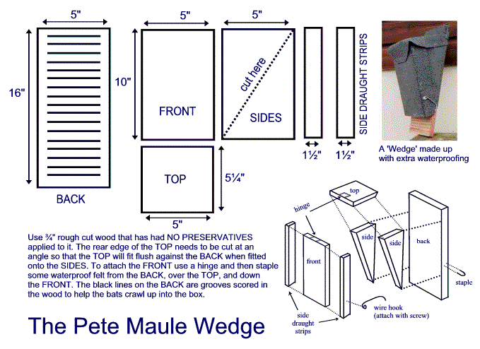 Pete Maule Wedge batbox
